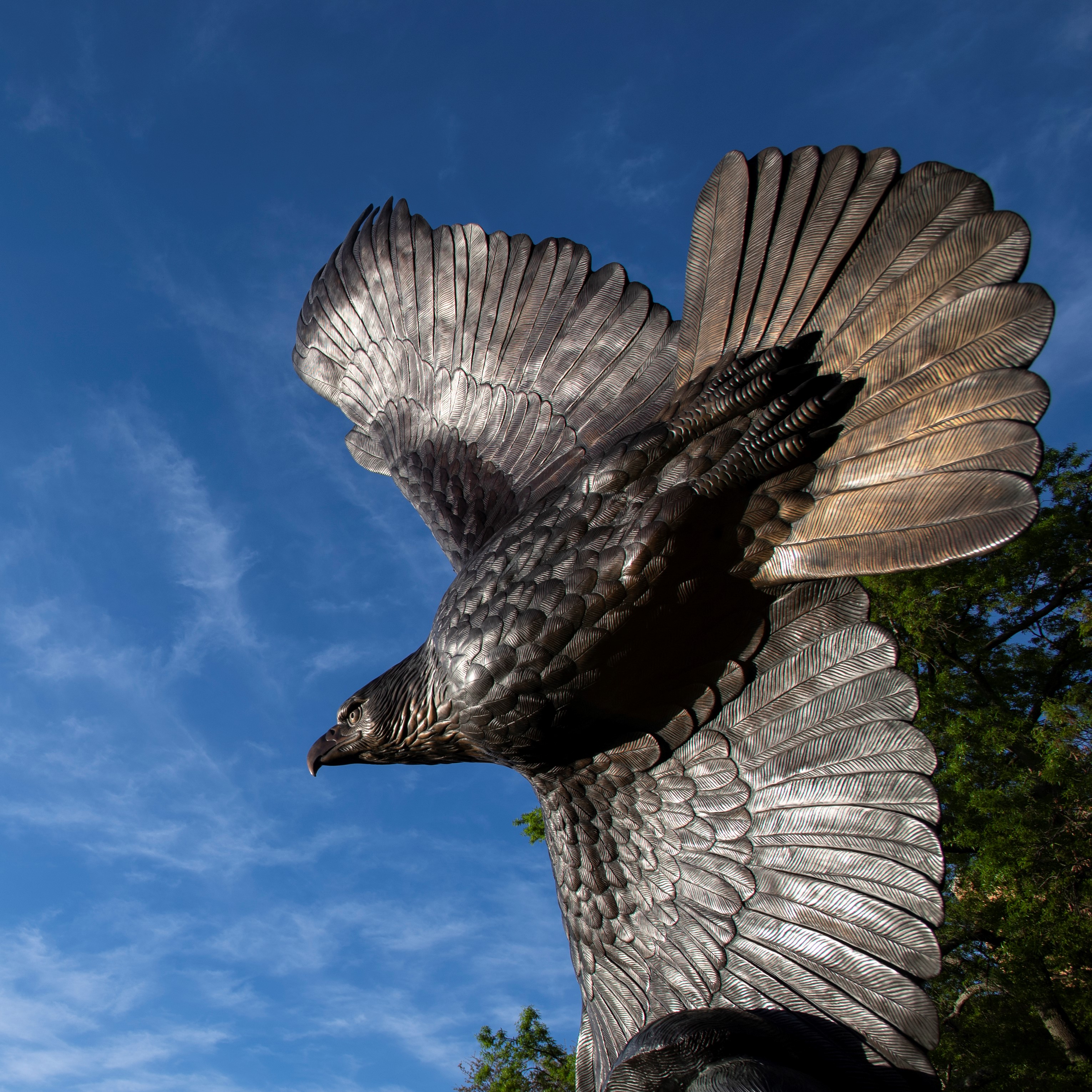 Image of eagle sculpture on campus