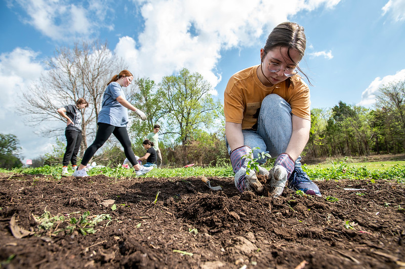 Group of UNT Students Planting Plants In Soil