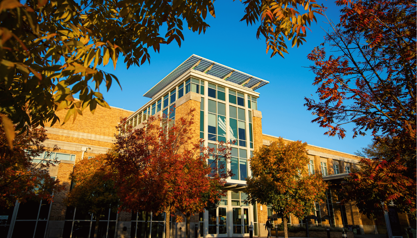 the union with fall leaves