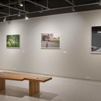 installation view showing 4 framed photographs hanging on the wall