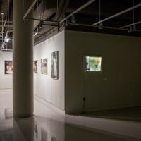 installation view showing 2 lightbox photographs