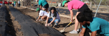 students volunteering in garden