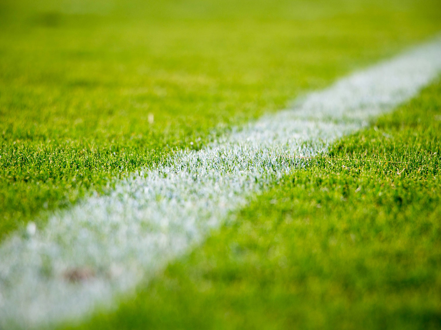 An empty soccer field