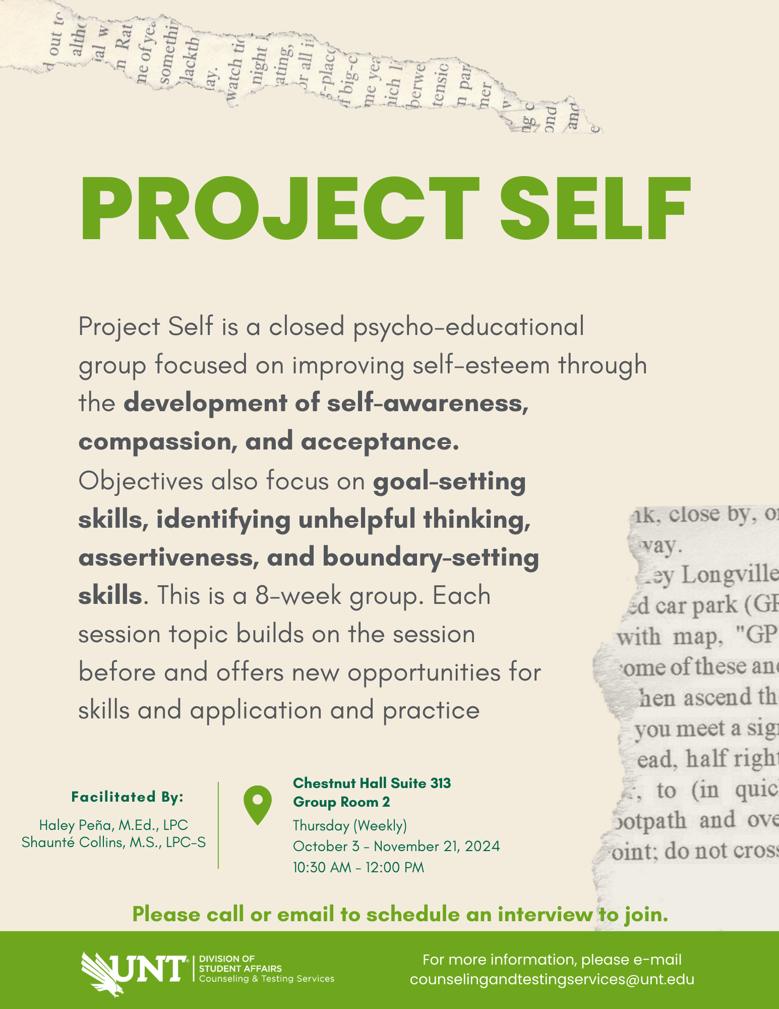 project self flyer