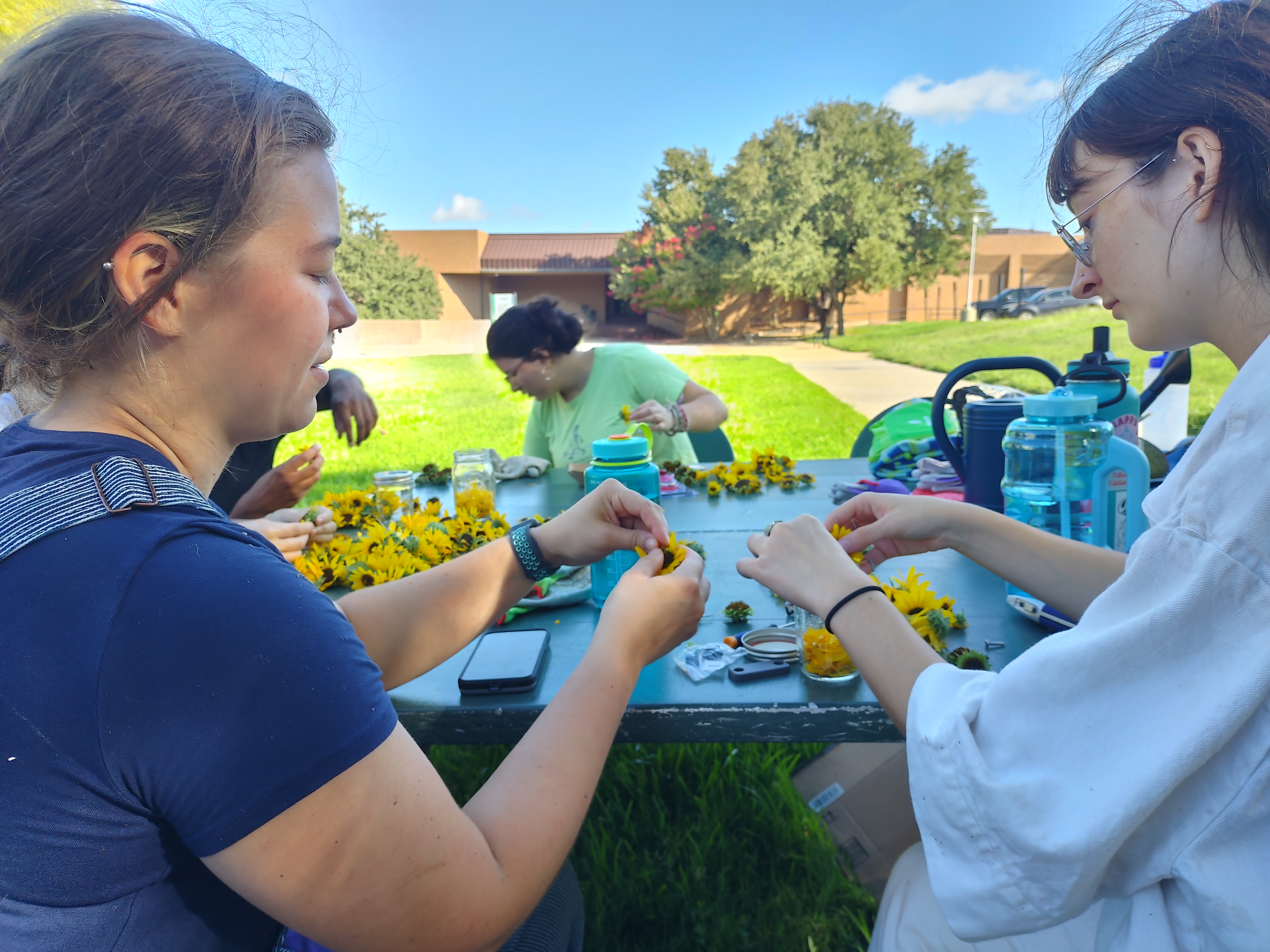 Students sorting flowers for natural dyes