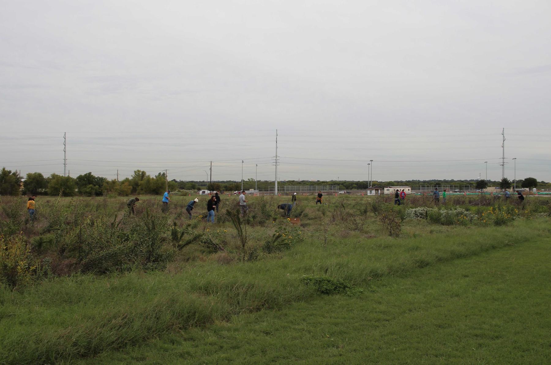 students working in a field of tall grass