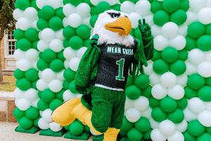 Scrappy  poses by a wall of balloons.