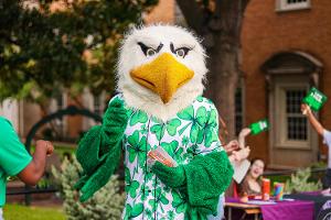 Scrappy wears a Hawaiian shirt with four leaf clovers all over it.