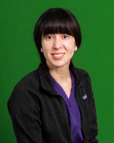 Brown hair, brown eyes, bangs, green background