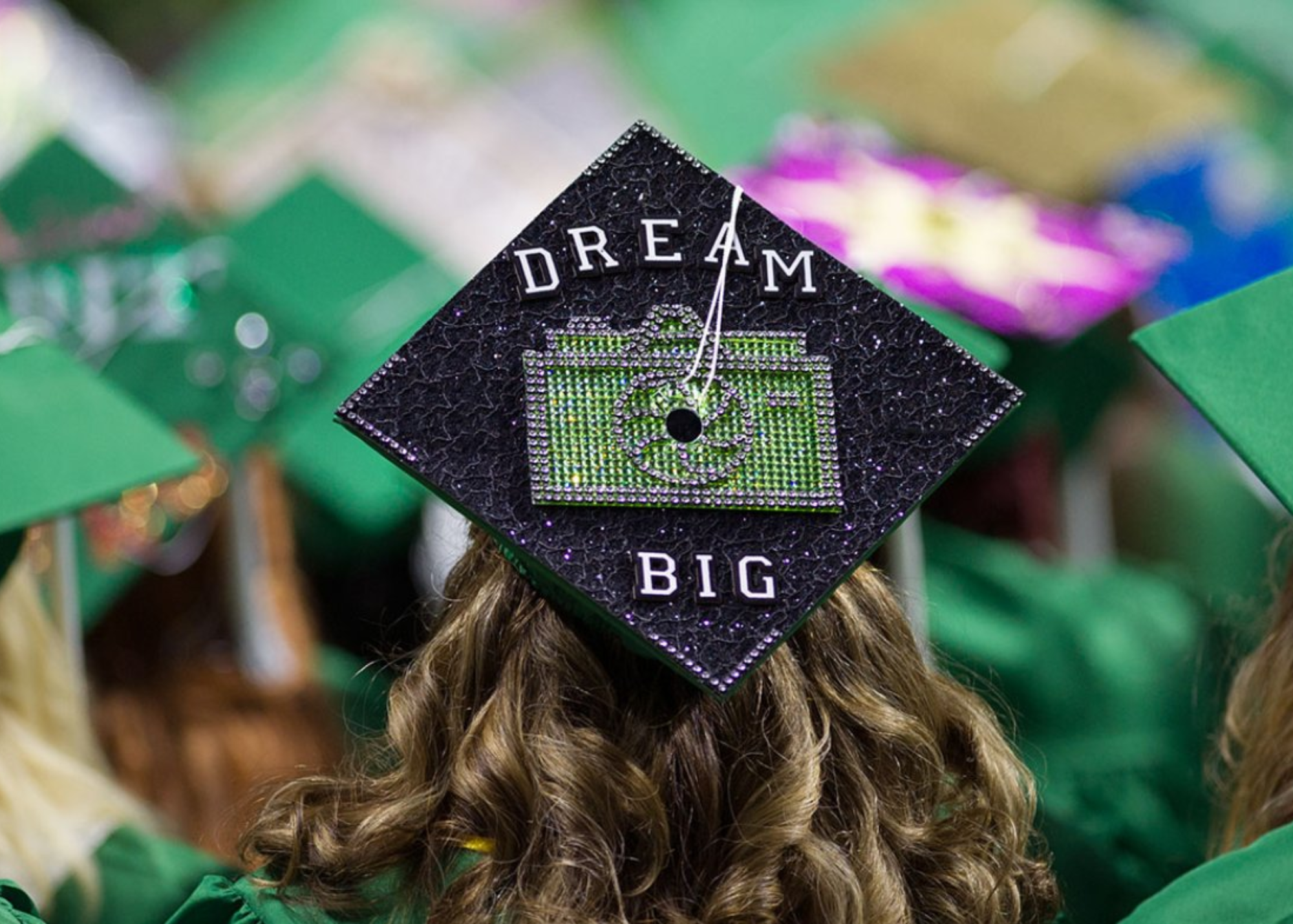 Students in graduation UNT graduation regalia. The back of students graduation cap says Dream Big.