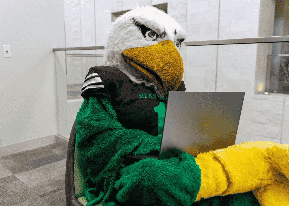 Photo of Scrappy (the eagle mascot) sitting in a chair working on a laptop