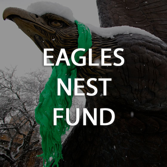 Eagles Nest Fund