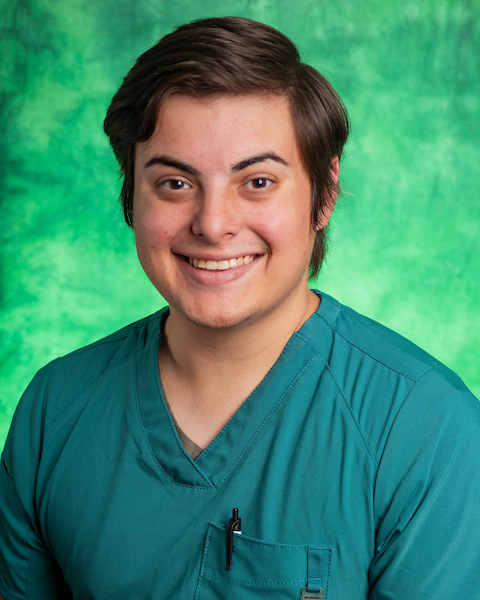 brown short hair, brown eyes, green background